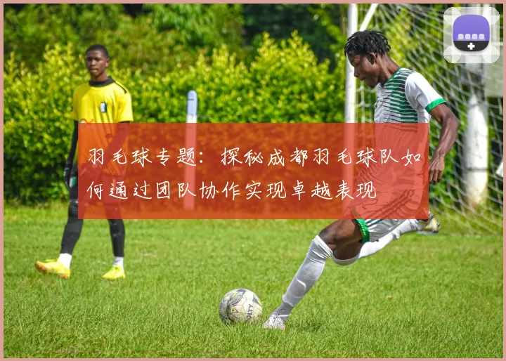 羽毛球专题：探秘成都羽毛球队如何通过团队协作实现卓越表现