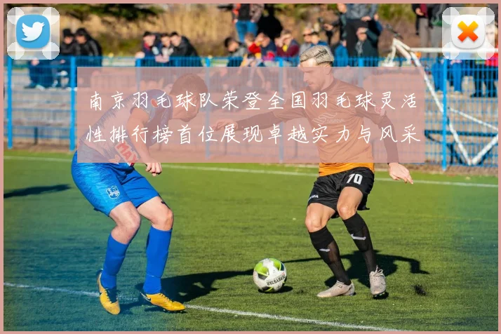 南京羽毛球队荣登全国羽毛球灵活性排行榜首位展现卓越实力与风采