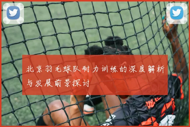北京羽毛球队耐力训练的深度解析与发展前景探讨