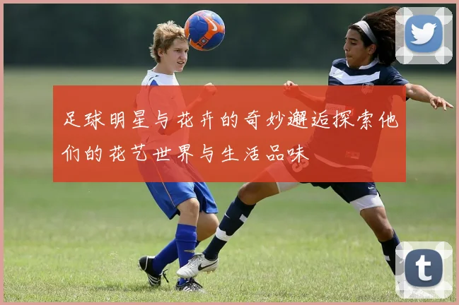 足球明星与花卉的奇妙邂逅探索他们的花艺世界与生活品味