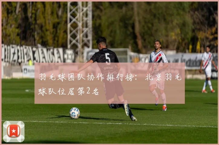 羽毛球团队协作排行榜：北京羽毛球队位居第2名