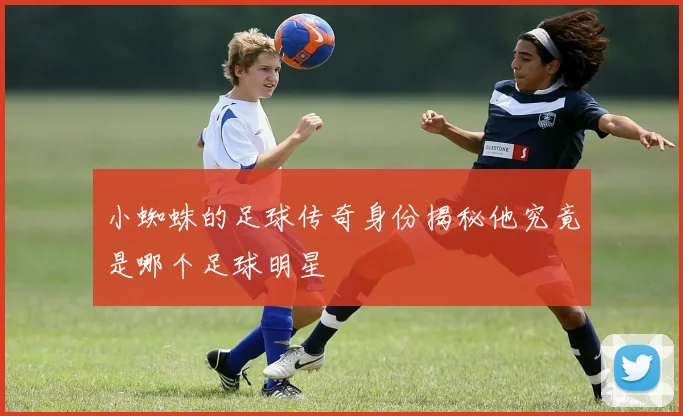 小蜘蛛的足球传奇身份揭秘他究竟是哪个足球明星