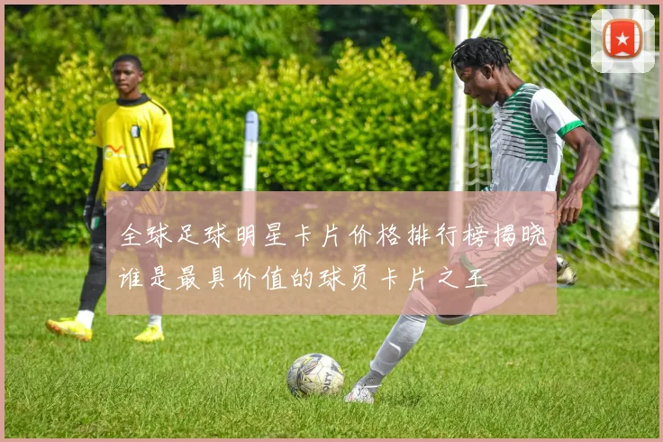 全球足球明星卡片价格排行榜揭晓谁是最具价值的球员卡片之王