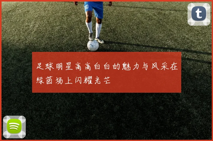 足球明星高高白白的魅力与风采在绿茵场上闪耀光芒